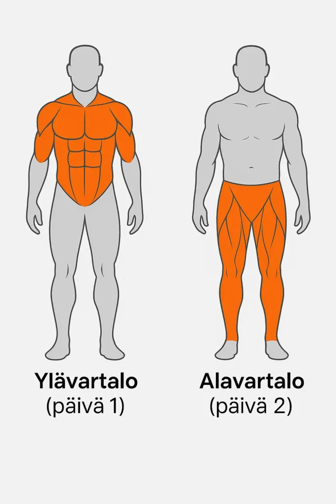 2 jakoinen treeniohjelma